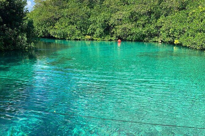 Tulum Area Experiences Guided 2 Tank Scuba Dive Casa Cenote & Barrier Reef-Lunch - Price and value: is $209.95 a good deal for a two-tank day?