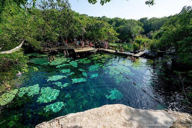 Tulum Area Experiences Guided E-Bike Tour- 3 Cenote's Snorkel/Swim & Local Lunch - Guide quality: why Ricardo, Carlos, and Julieta keep coming up