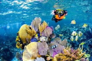 Tulum Area Experiences Guided Snorkeling Tour - Casa Cenote + Ocean Reef & Lunch - The Boat Ride and the In-Between Hour: Less Waiting, More Flow