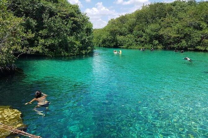 Tulum Area Experiences Guided Snorkeling Tour - Casa Cenote + Ocean Reef & Lunch - Should You Book This Casa Cenote + Reef Snorkeling Tour?