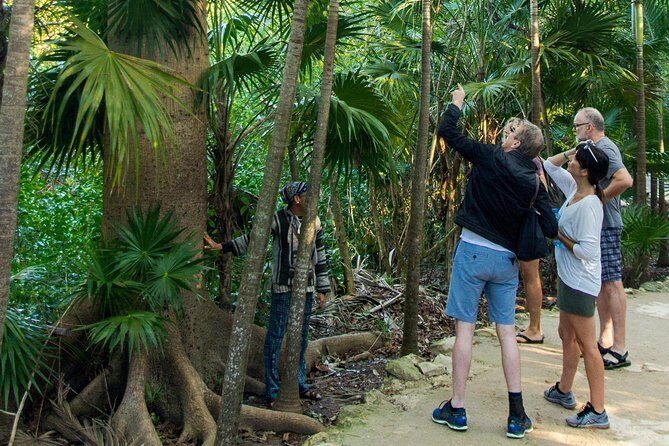 Tulum Bike Tour Tulum Maya Ruins Cenote Swimming Pueblo History Art Tacos Lunch - Lunch tacos and built-in snacks: what you’re actually getting