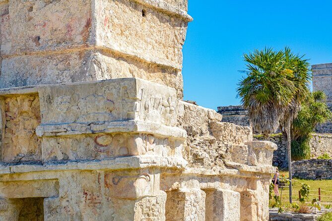 Tulum & Cenote Adventure - What You’re Really Getting: Ruins, Jungle, and Cenote Snorkeling