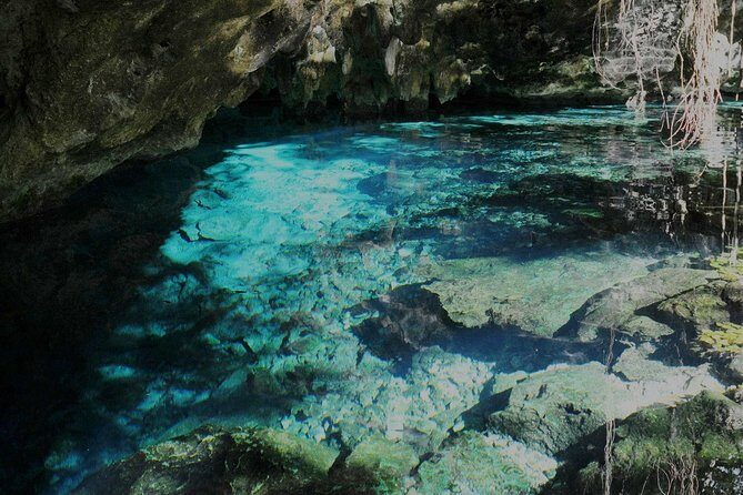 TULUM, CENOTE, MYSTIKA MUSEUM, TURTLES SNORKELING (Private) - Turtles Snorkeling: The Water Moment That Makes It Memorable