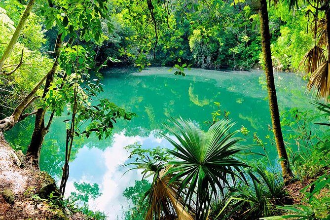 TULUM, CENOTE, MYSTIKA MUSEUM, TURTLES SNORKELING (Private) - What Makes This Tour Feel “Private” (Beyond the Label)