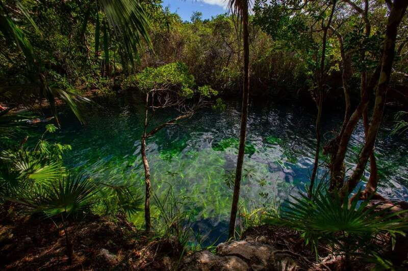 Tulum: Cenote Trail Bike Tour - Why the cenotes feel special (and which moments you’ll remember)