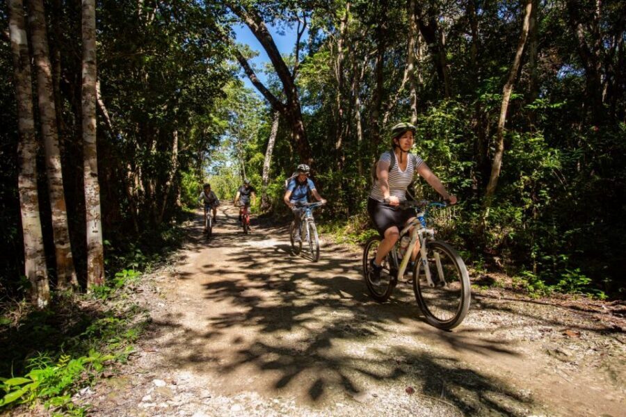 Tulum: Cenote Trail Bike Tour - Lunch in the jungle: what’s included and why it’s more than a break