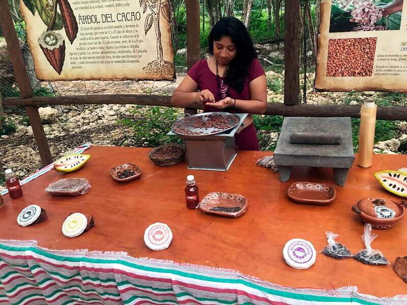 Tulum: Chocolate & Honey Sanctuary Experience with Lunch - Key highlights you’ll remember