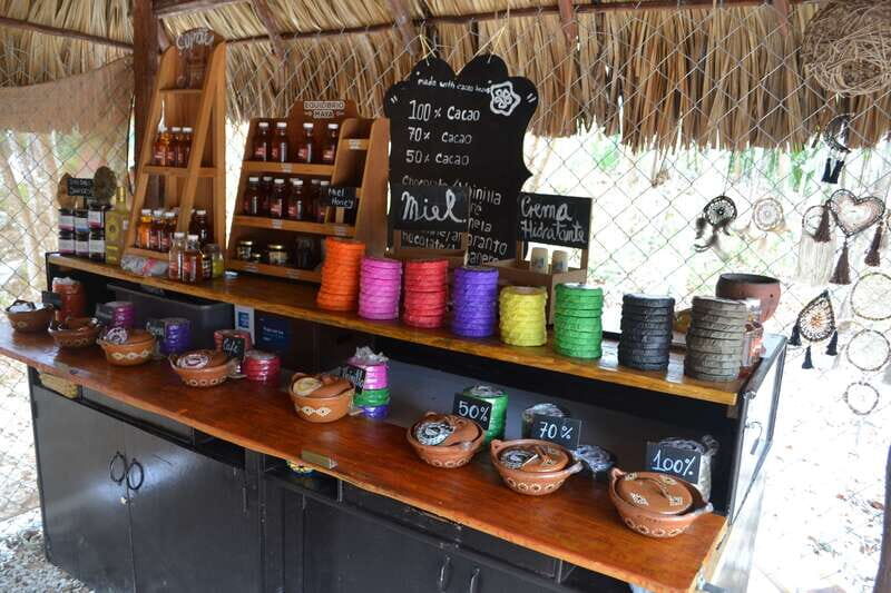 Tulum: Chocolate & Honey Sanctuary Experience with Lunch - Should you book Chococacao Maya’s Chocolate & Honey Sanctuary?