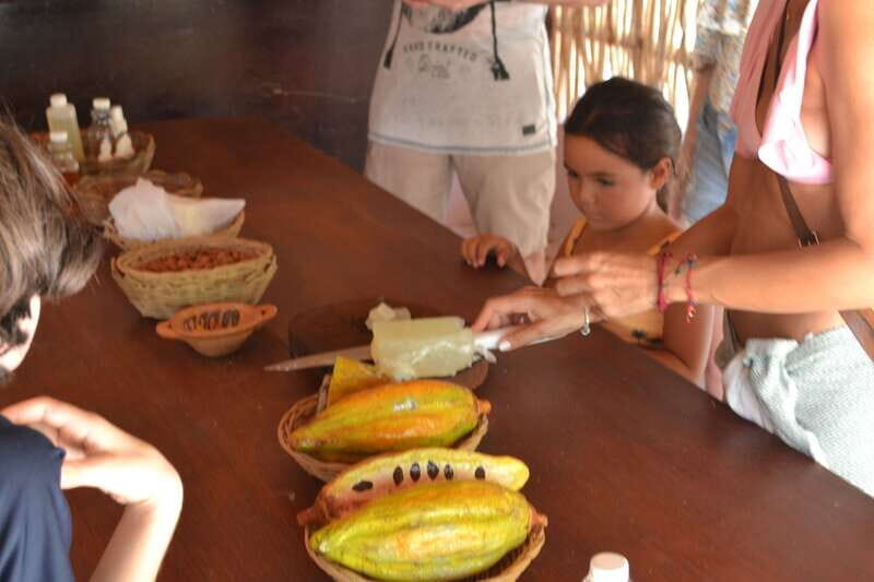 Tulum: Chocolate & Honey Sanctuary Experience with Lunch - Cenote swim with sacred-water legend (and what to wear)