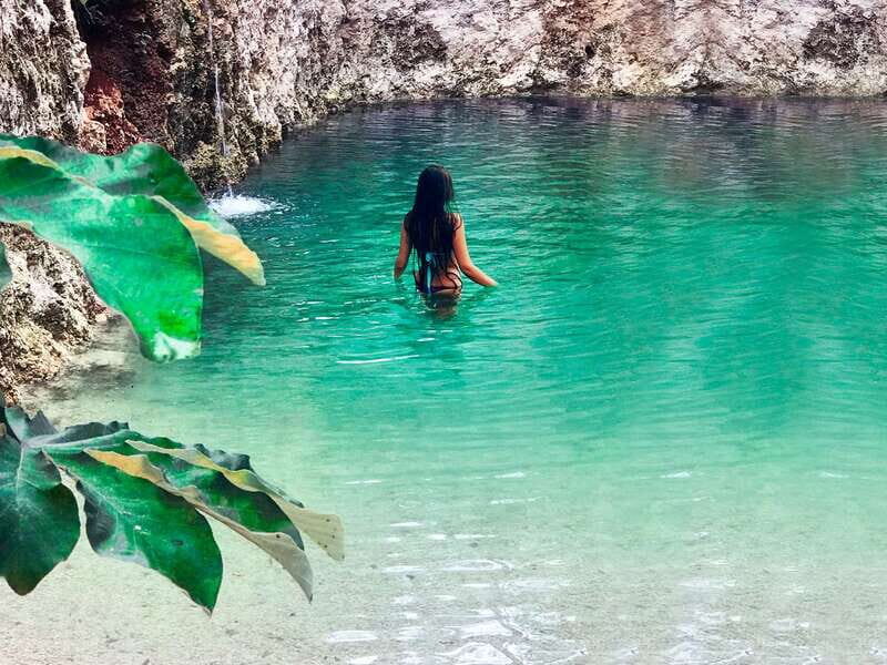 Tulum: Chocolate & Honey Sanctuary Experience with Lunch - Value check: is $59 for 3 hours a good deal?