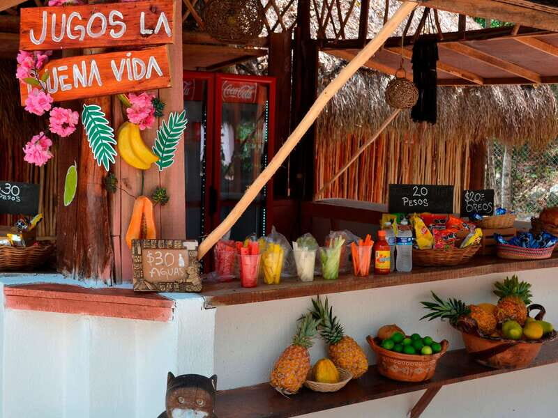 Tulum: Chocolate & Honey Sanctuary Experience with Lunch - Who should book this sanctuary (and who might skip it)