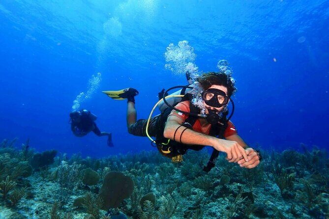 Tulum Diving (Reef) 2 Tanks - Key Highlights You’ll Actually Feel During the Trip