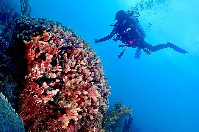 Tulum Diving (Reef) 2 Tanks - Two Tanks, Two Planned Underwater Sessions (About 45–50 Minutes Each)