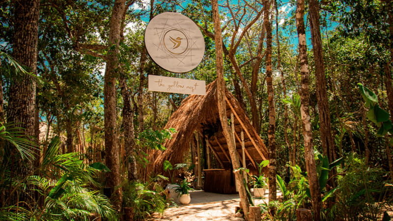 Tulum: Floating Breakfast in The Yellow Nest (Day Pass) - The Yellow Nest Day Pass: Jungle Calm Without the Fuss