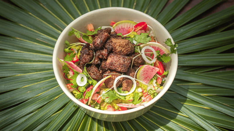 Tulum: Floating Breakfast in The Yellow Nest (Day Pass) - Price and Value at $86: What You’re Really Paying For