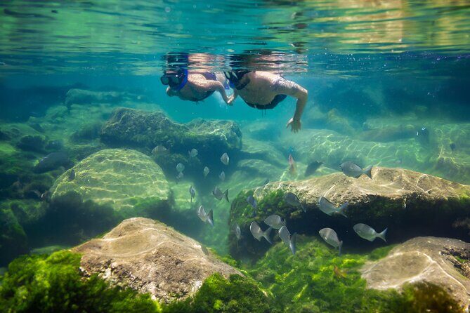 Tulum Guided Tour, Magical Cenote, Lagoon Snorkeling and Beachside Lunch - Who This Tour Fits Best (And Who Should Skip It)