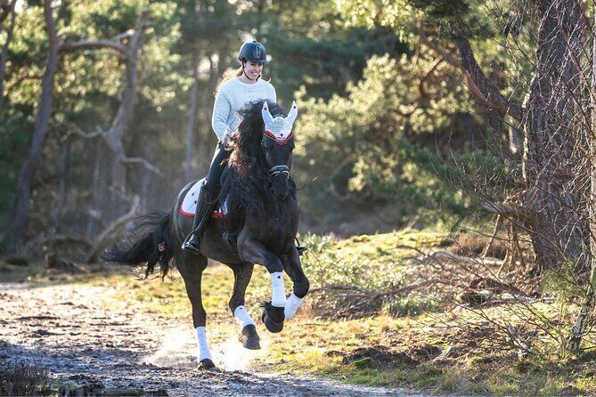 Tulum Jungle Horseback Ride + ATV + Ziplines + Cenote Combo Tour - Price and What You’re Really Buying