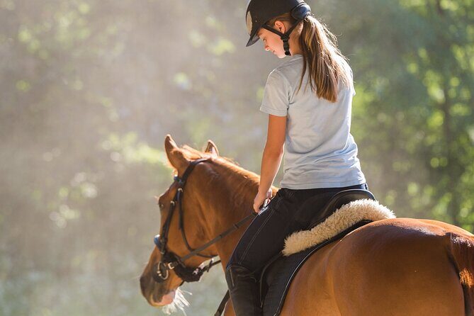 Tulum Jungle Horseback Ride + ATV + Ziplines + Cenote Combo Tour - The Flow of the Day: What Happens After Pickup