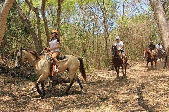 Tulum Jungle Horseback Ride + ATV + Ziplines + Cenote Combo Tour - Zip Lines and the Rappel: Adrenaline With Weight Limits