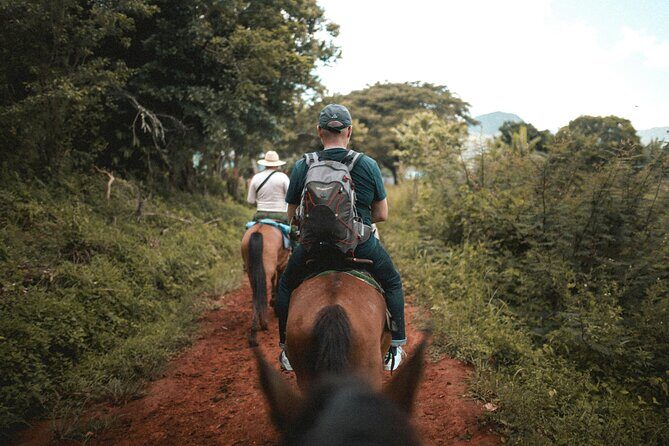 Tulum Jungle Horseback Ride + ATV + Ziplines + Cenote Combo Tour - Lunch, Hammocks, and Hydration: Refueling Without Feeling Fancy