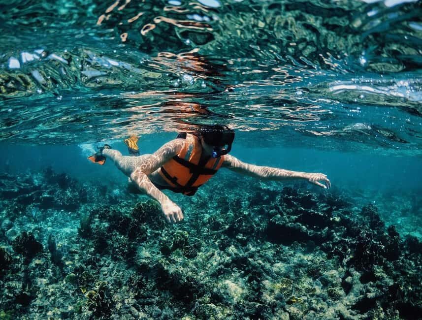 Tulum: Private Snorkel and Sailing Experience - Jaguar National Park Perks: Trails, Viewpoints, and a Beach Club Reset