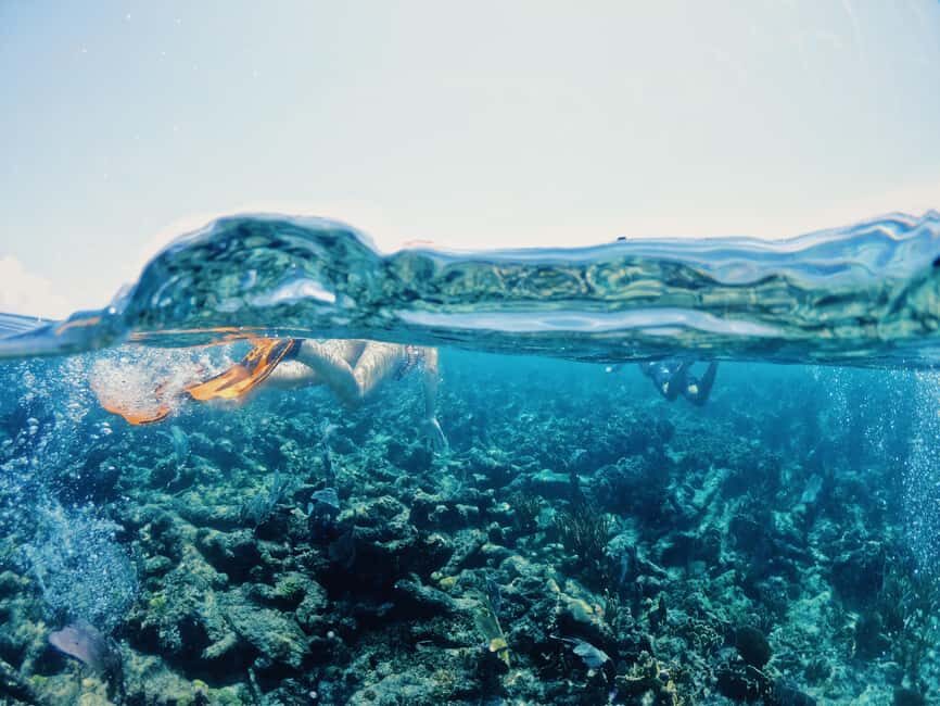Tulum: Private Snorkel and Sailing Experience - Should You Book This Private Tulum Snorkel and Sailing Experience?