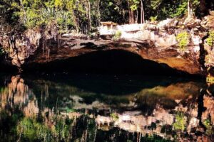 Tulum Ruins and 3 Cenotes - Jungle Adventure - Lunch, Snacks, and Bottled Water: The Fuel Part People Forget