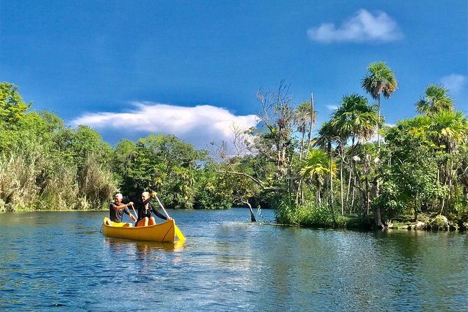Tulum Ruins and 3 Cenotes - Jungle Adventure - COVID and Group Safety: How the Day Runs with Precautions