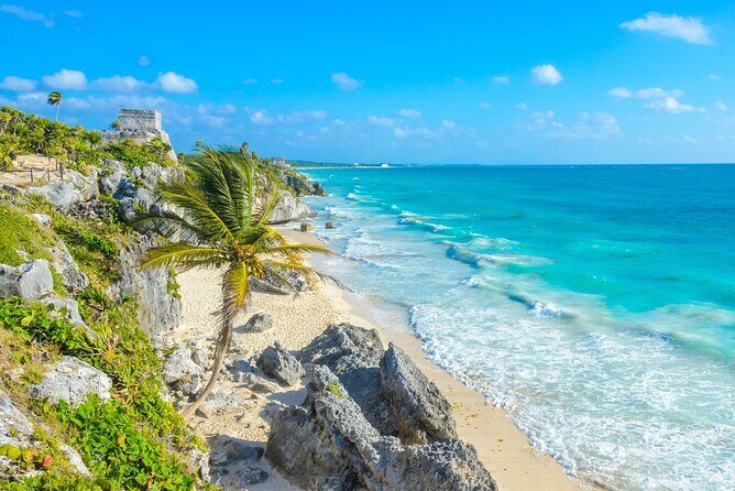 Tulum Ruins and Cenote Guided Tour, from Cancun - Stop Two: Your Cenote Swim at Mariposa (or a Nearby Cenote Stop)