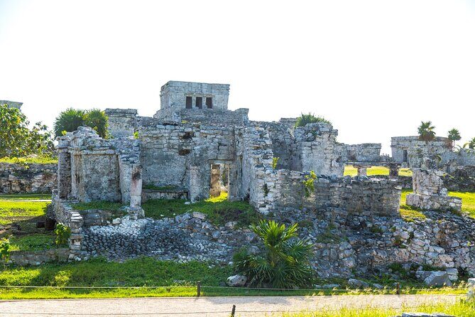 Tulum Ruins, Cenote Cave and Swimming with Turtles From Tulum - Akumal Beach Sea Turtle Snorkeling: Amazing Up Close, With Strict Rules