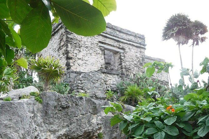 Tulum Ruins Tour (Private, Half Day) - Should you book this Tulum Ruins private half-day?
