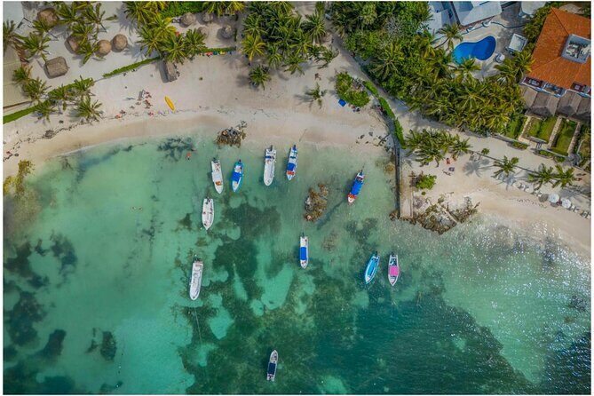 Tulum Ruins, Turtles in Akumal and Cenote tour - Key highlights to know before you go