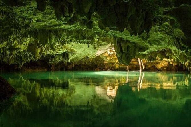 Tulum Ruins visit cenotes house turtle and Sculpture Come to Light - 7:00 am pickup and the shared-ride reality