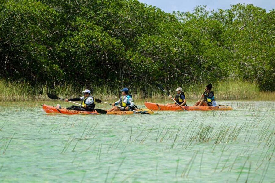 Tulum: Sian Ka'an Biosphere Reserve Kayak Tour - A Calm Kayak Through Sian Ka’an’s Mayan Trade Routes