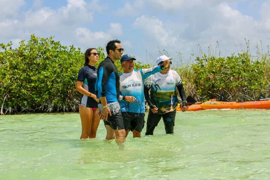 Tulum: Sian Ka'an Biosphere Reserve Kayak Tour - Price and What You Actually Get for $109