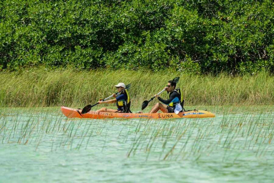 Tulum: Sian Ka'an Biosphere Reserve Kayak Tour - Kayaking Laguna de Muyil and the Mangrove Channels