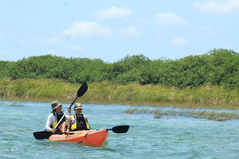 Tulum: Sian Ka'an Biosphere Reserve Kayak Tour - Bird-Spotting Tips That Actually Help