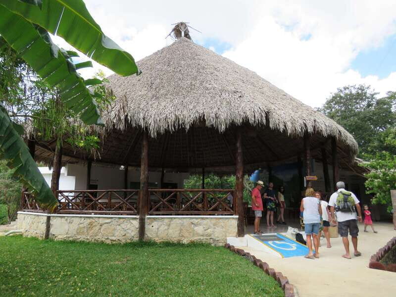 Tulum: Sian Ka'an Biosphere Reserve Kayak Tour - Lunch at Chunyaxché and the Los Aluxes Meal