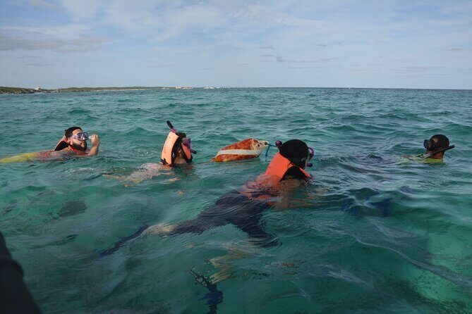 Tulum: Snorkeling and Private Sailing Tour - What the vibe is like: private, patient, and flexible with real-world timing