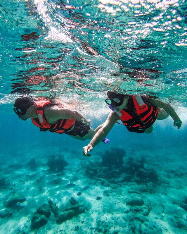 Tulum: Snorkeling at Paradise Reef - Price and Value: $35 Plus the Parque del Jaguar Access Fee