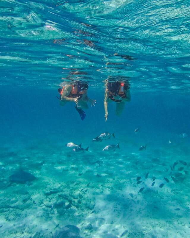 Tulum: Snorkeling at Paradise Reef - What to Bring to Snorkel Comfortably (and Avoid Sun Trouble)