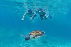 Tulum, Snorkeling with Sea Turtles, Cenote and Beachside Lunch - Stop 1: Tulum Ruins—coast views plus Mayan storytelling
