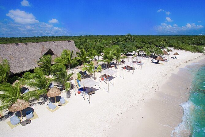 Tulum, Snorkeling with Sea Turtles, Cenote and Beachside Lunch - What the reviews taught me to plan for (without the surprises)