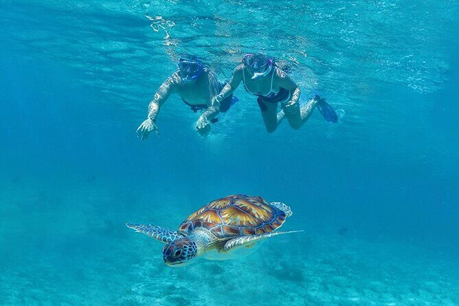 Tulum, Snorkeling with Sea Turtles, Cenote and Beachside Lunch - Stop 1: Tulum Ruins—coast views plus Mayan storytelling