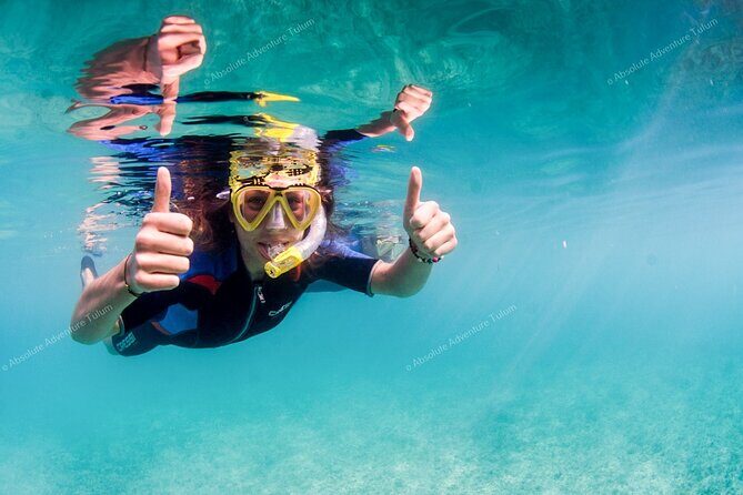Tulum VIP Private Tour with Sea Turtles & Cenote – Award-Winning - Akumal Beach shore snorkeling with sea turtles