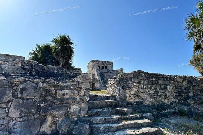 Tulum VIP Private Tour with Sea Turtles & Cenote – Award-Winning - How the timing and transport really work