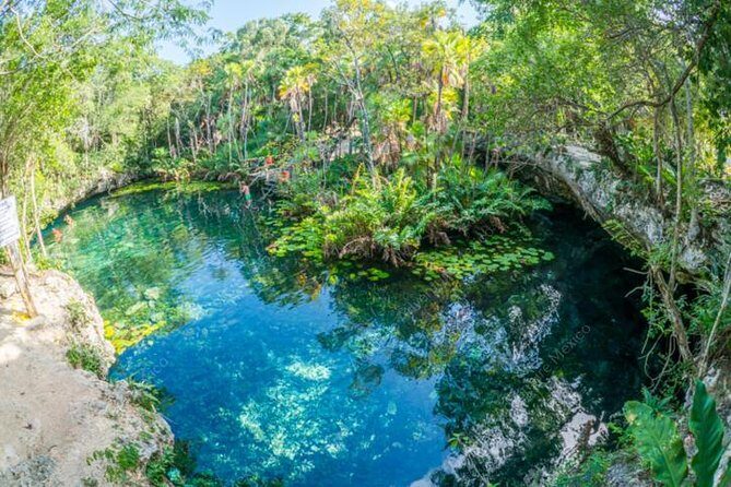 Turtle Encounter Private Tour – Swim with Sea Turtles & Cenote - Choosing your cenote: open-air fun vs cave river vibes