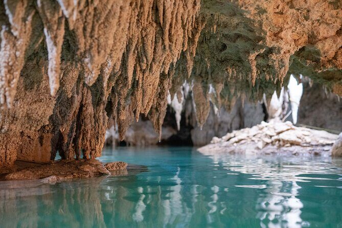 Turtle Snorkeling and Jungle Adventure with Cenote - Price and value: $119 plus the $20 government fee