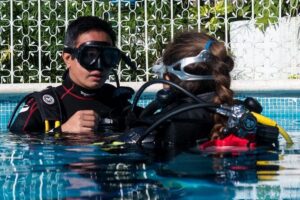 Two reef discovery dives with professional instructor (no experience necessary) - Your Reef Discovery Schedule (With Real Expectations)