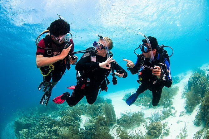 Two reef discovery dives with professional instructor (no experience necessary) - Who This Tour Fits Best (And Who Might Want to Think Twice)